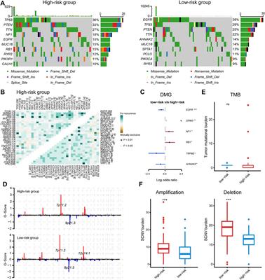 Novel Immune-Related Gene-Based Signature Characterizing an Inflamed Microenvironment Predicts Prognosis and Radiotherapy Efficacy in Glioblastoma